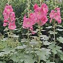 친구들과 대공원.시민공원 26.6.1