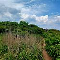 소백산 (국망봉~상월봉)