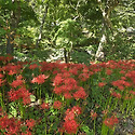고창 선운산 2