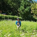 양평 썸머페스티벌.1박2일.26.8.22..