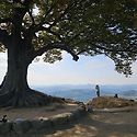 2026.10.11 부여 가림성