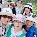 6월여행 옥천 수국이 흐드러지게 핀꽃길..