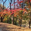 계족산(11.19일 정모)