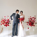 테레지아 스튜디오