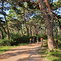 봉수산