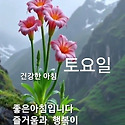 즐거운 주말 보내세요