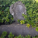 산수정(山水亭)