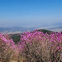 강화 고려산