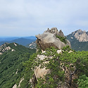 의상(26.6.24)1
