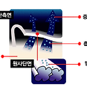 男) K2 시그니처 본딩팬츠