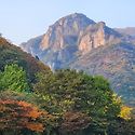 정읍내장산~장성백양사 단풍산행