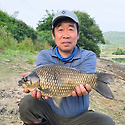 철이 도유지에서 42cm 붕어