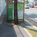 수목보호틀 덮개