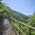 소백산 연화봉 비로봉 국망봉 달밭골