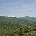 시원한 바람 불어 주는 소백산 철쭉 산..