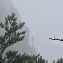 언제 보아도 든든하고 멋진 울산바위를..