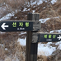 대관령 제왕산(1)