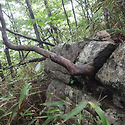 진안 운장산(2)