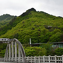 달궁 수달래