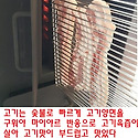 고기는 초벌박사로 고기양면을 빠르게 ..