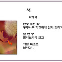 새/ 박영배