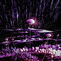 천상 정원