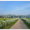 미르섬 소식