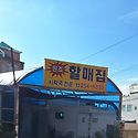 9월11일(금):효민야구장(엄광산둘레길)