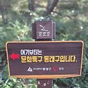 10월12일(월):석불사둘레길