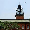 서울대 병원 앞 건물,