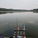 🐟 2023년 8월 넷째주 조..