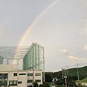 오늘도 쌍무지개