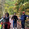 치악산황장숲26/10/16