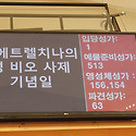 ✨ 오상의 성 비오 사제 기..