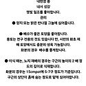 제피란서스 써든테락 판매