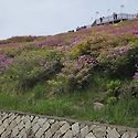 26.5.2 토요라이딩 /백양산