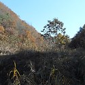 자연인 처럼 사실분 초대합니다,
