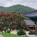 태안사~~계곡~~순천작가 여름