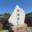 부산 백양산 애진봉 철쭉 4/26
