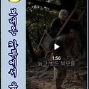 "고려장"이 사라진 사연