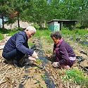🥬치매극복🌱&#