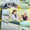 &#128144;어버이날 행사&#128144;