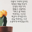 7월14일~20일 출석부