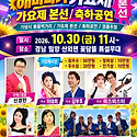 이번주 미스미스터 공연