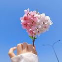&#128151; 5월12일~5월18일 출석