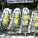 제17회 한국전쟁(6.25) 미군폭격사건 ..
