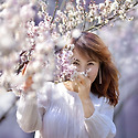 봄날 --- 梅花香