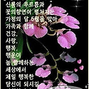 빛나는 언어 영적인 통찰