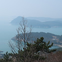 완도&삼문산 진달레 공원
