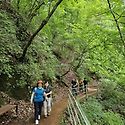 홍천 수타사 산소길 4